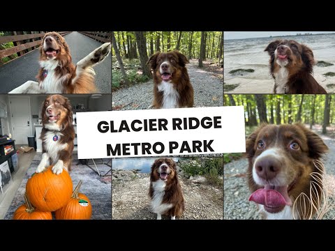 Glacier Ridge Metro Park | Hiking Trails & Outdoor Adventure in Columbus Ohio