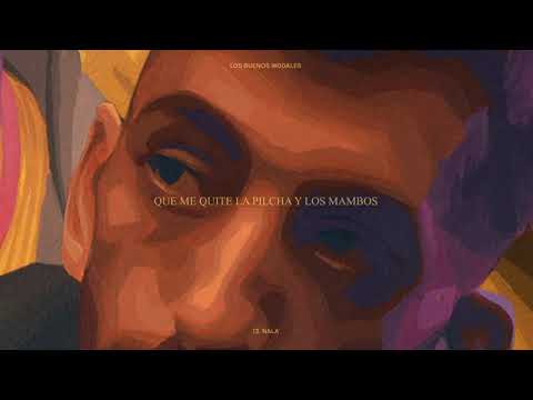 LOS BUENOS MODALES - Nala