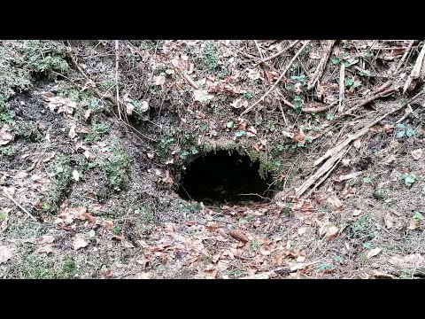 Altbergbau Befahrung: Nepomuk-Stollen in Annaberg/Niederösterreich
