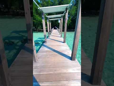 Temukan pantai-pantai bersih yang bikin betah di Jakarta! 🌊✨ Siap untuk liburan santai?