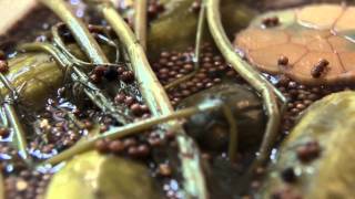 The Mile End Cookbook Book Trailer