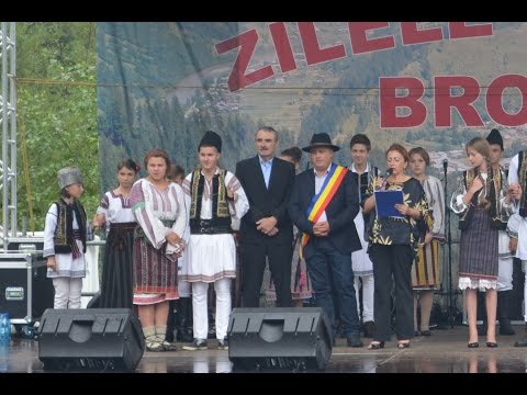 Ziua Orasului Brosteni 2015 - Partea 1