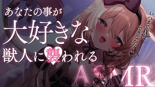 - 【 ASMR 】嫉妬した獣人にお世話されちゃえ♥:拘束/耳かき/マッサージ/耳ふー【 レグルシュ・ライオンハート/のりプロ所属 】