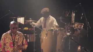 MANU DIBANGO LENS 2015.