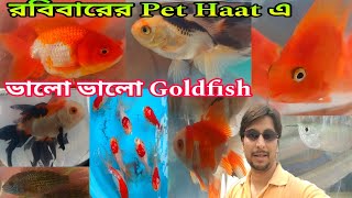 রবিবার Pet Haat শ্রীরামপুরে | Goldfish Oscar Parrot Aquarium Plants |  Shrirampur Pet Haat | Fish 