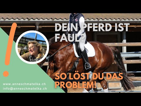 Wie schaffe ich es, dass mein Pferd immer fauler wird? | So vermeidest Du das!