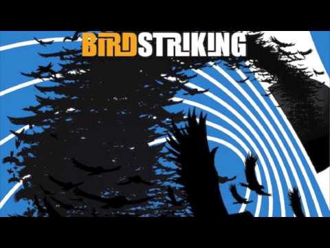 Birdstriking - Birdstriking (Full Album)