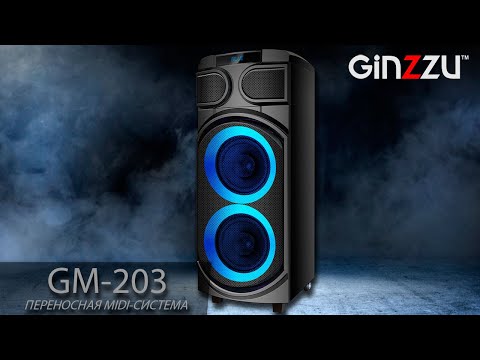 Миниатюра изображения товара Портативная колонка Ginzzu GM-203