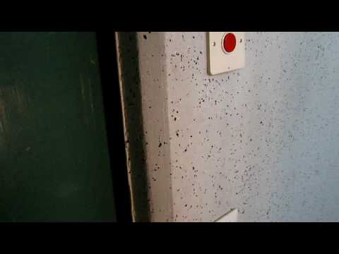 Peter startar brandlarmet.