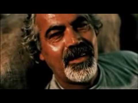 sangue vivo   officina Zoè