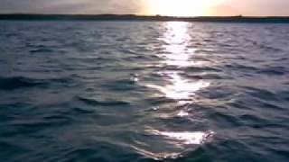 Budka Suflera Martwe Morze