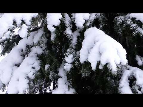 Agares - Agares - Diamonds And Rust - Judas Priest Cover (official video)