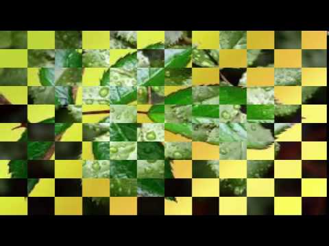 The Art Institute of California   San Francisco