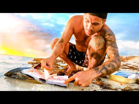 Spearfishing For Food SOLO CAMPING Living From The Ocean - Ep 283