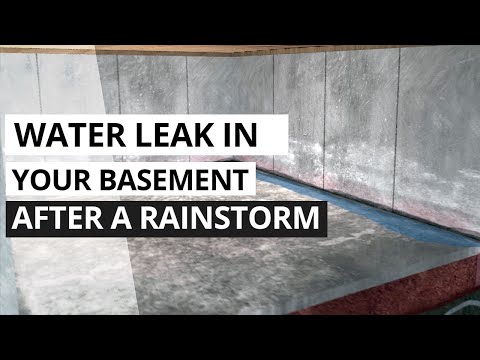 Water Leak in Basement After Rain [Animation]