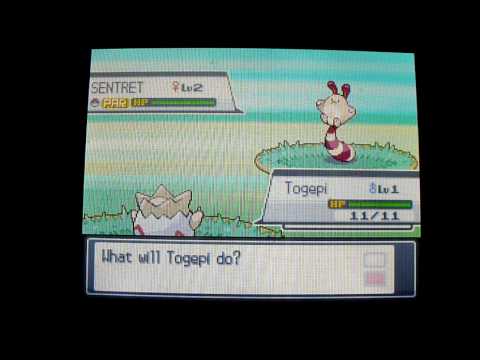 Pokémon Heart Gold Random Wild Shiny Sentret