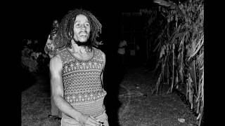 Bob Marley - Ambush in the night - Rare Demo Extended Lyrics
