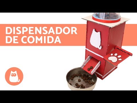 Cómo Construir Un Dispensador De Comida Para Mascotas