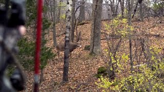 Morning Rut Hunt Tactic For Mature Bucks