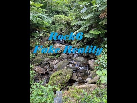 Rock6 , Fake Reality *a