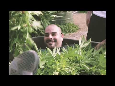 [FREE] Mozzy x SOB X RBE x Lil Pete x Berner Type Beat | "Blue Dream"