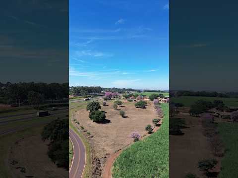 Jardinópolis-SP O Mistério BOCA AMARELA🔥#ribeiraopreto #jardinopolis #drone #shorts