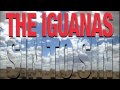 The Iguanas - Oye Mi Cumbia