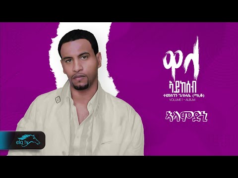 Temesgen Gebreselassie  - Taniqo - Alamdni - ኣላምድኒ - Eritrean Music - ( Official Audio )