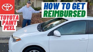 Toyota Paint Peel Program