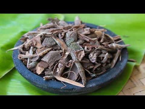 5 Khasiat Kayu Rapet, Obati Penyakit Hingga Miss V Kencang