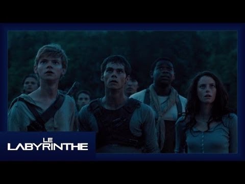 Le Labyrinthe - Extrait Attaque nocturne [Officiel] VOST HD