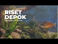 Sejarah Balai Riset Budidaya Ikan Hias Depok
