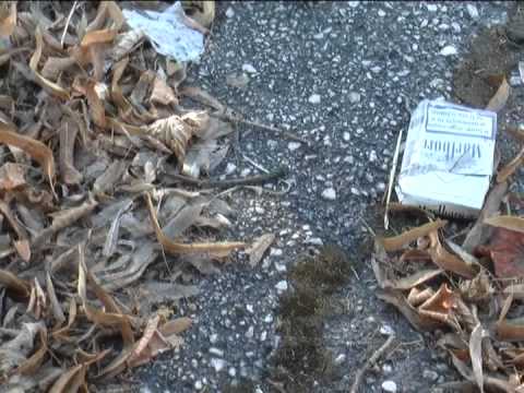 ONDA TG 19.08.2013 - DEGRADO OSPEDALE DI SULMONA