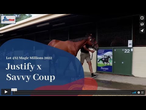 Justify x Savvy Coup 20 Colt