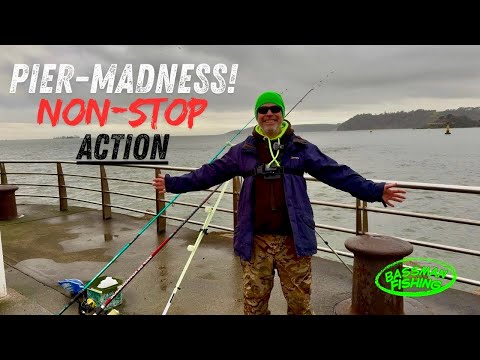 Sea Fishing Uk-Hitting Plymouth’s Biggest Pier-Catch  & COOK.