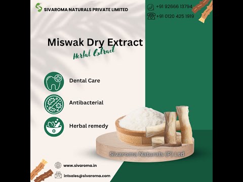 Miswak Extract Powder