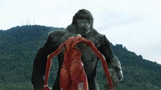 King Kong Godzilla VS Attack on titan (all episodes)