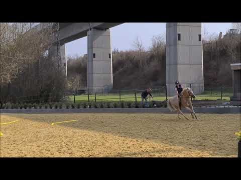 Malu (11) und Duebaree - wieder ohne Sattel am 25.03.2021