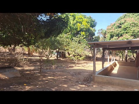 Chácara 4 hectares completa Vila Boa Goiás,  ,casa, água, escriturada, cercada, pasto,etc...,
