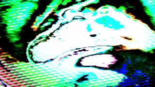 Feel rif by OSCILLATOR BUG