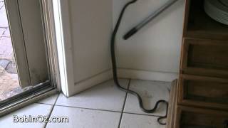 Living in Australia: Our Fourth Full Year