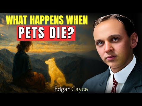 What Happens To Pets When They Die? Do Animals Have Souls? | Edgar Cayce