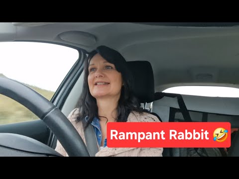 DAILY VLOG...Hooker Bunny Needed for My Boy!!!