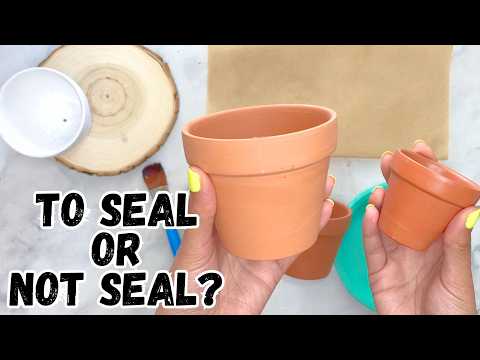 Seal or Skip? Prepping Terracotta Pots for Paint