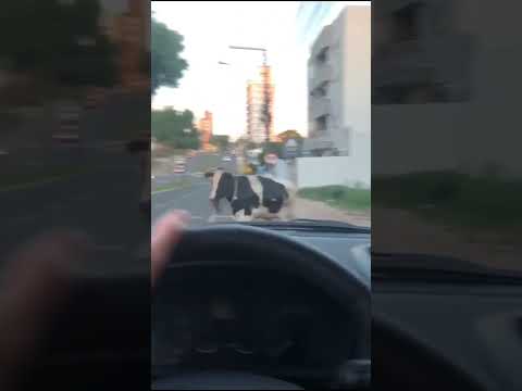 Сумасшедший видеорегистратор. #shorts https://ali.ski/AvqjU