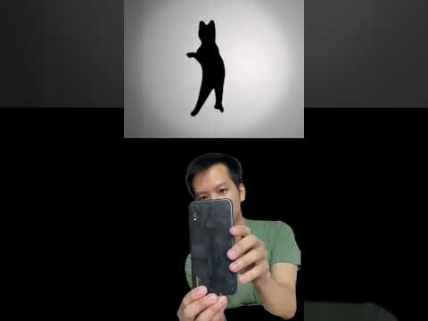 Ghost cat #illusion #tiktok #impossible #ghost #can it be done #knowledge