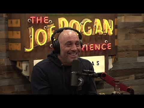 Joe Rogan Experience #1765 - Philip Frankland Lee