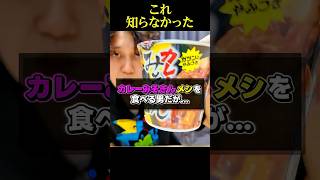 【正直】カレーみそきんメシの最大の欠点がしょうも無さすぎる… #shorts #みそきん #レビュー