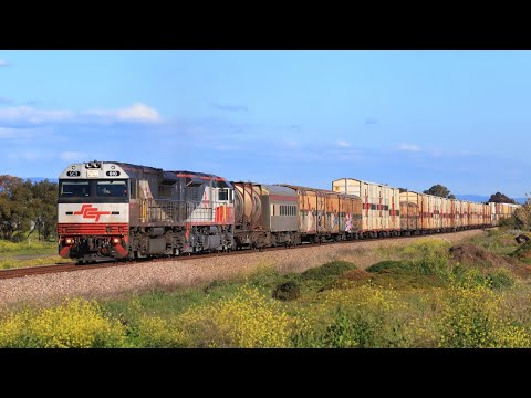 Australian Trains: SCT 2MP9 leaving Virginia