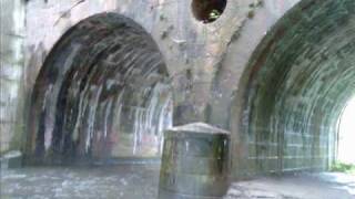 Nicolette - No Government (No Gov. in the Jungle Mix).wmv